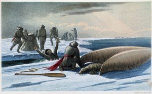 Seljakt: "" Seljakt i bukten"" - i "" Exploration of the Labrador Peninsula"" av Hind, London av Unknown artist