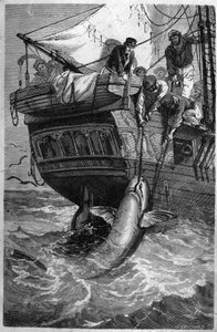 Shark fishing. (Pesca allo squalo) 19th century engraving. Private collection. av Unknown artist