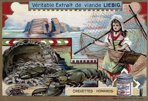 Reker og hummer, med en ung fiskekvinne, som bærer kurven sin og et stort nett - Liebig-kromolitografi av Unknown artist