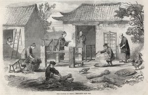 Silke produksjon i Kina og de ulike stadier av produksjon. av Unknown artist