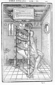 Hodeskalle kuttet. Anatomisk styre for "Disseksjonen av de tre delene av menneskekroppen ..." Carlo Stefano Riverio, Paris 1545 av Unknown artist