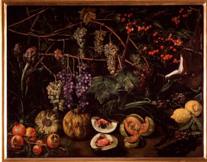 Stilleben med druer og squash (maleri av Unknown artist