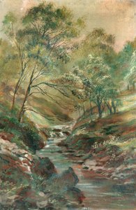 Strøm gjennom en skog av Unknown