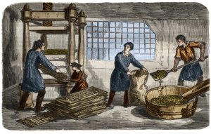 Sugar manufacturing: extraction of juice from beet pulp. The pulp is stuffed in bags that are stacked under the tray of a hydraulic press. Engraving from 1859. in “” The Museum of Sciences”” av Unknown artist