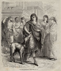 The Dog of Alcibiades - The dog of Alcibiades statesman and orator and general Athenian, 450-404 BC engraving from 1864 av Unknown artist