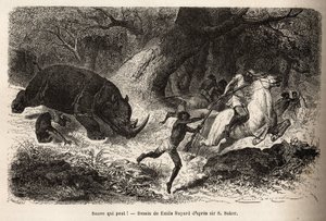 Anklagen om neshornet som velter og fanger jegerne, under letingen etter forfatteren og hans guider. Gravering for å illustrere utforskningen av de abessiniske sideelvene til Nilen, av Sir Samuel W. Baker, i 1861-62, publisert i "" Le tou av Unknown artist