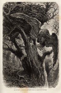 Ørnen beskytter redet sitt mot inntrengeren. Gravering for å illustrere historien Quatre mois en Florida, av M. Pousselgue, i 1851-1852, publisert i "" le tour du monde", under ledelse av D