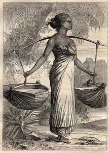 Ekspedisjonen rundt om i verden (1790-1792) av kaptein Etienne Marchand (1755-1793): vannbærer i Timor (Øst-Timor, Indonesia) -illustrasjon hentet fra "The Great Mariners of the 18th century"" av Unknown artist
