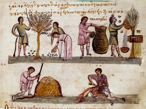 Høsten av oliven, produksjonen av honning og lammeslaktene Miniatyr fra jaktmelkingen "" The Cynegetics"" av Oppian (Oppian eller Oppianus) fra Syria (3. århundre e.Kr.) dedikert til Caracalla. Venezia fra 1000-tallet. Biblioteca Marciana av Unknown artist