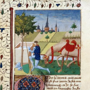 Ridderen av det runde bord Gauvain (eller Gawain), nevø av kong Arthur nær en fontene. Miniatyr fra manuskriptet "The novel of the Quete of the Grail"" 1450-1460 Dijon, kommunalt bibliotek av Unknown artist