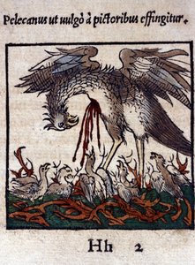 Legenden om pelikanen: han gir blodet og innvollene for å mate ungene sine. Fra Historiae animalium av Konrad Gesner, Tiguri av Unknown artist