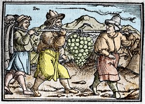Josva og Kaleb kommer tilbake med en enorm drueklase fra Kanaans land (det lovede land). Kronikk av Johann Stumpff “” Den edlen strucen besten fromen”” av Unknown artist
