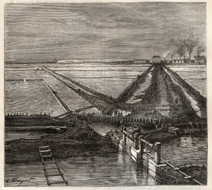 Saltmyra i Giraud i Camargue (Bouches-du-Rhone), utsikt tatt fra servicekanalen - gravering i 'Les Merveilles de l'Industrie' av Louis Figuier av Unknown artist