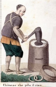Un chinese qui pille le riz - i Den universelle drakten til alle verdens folk av Unknown artist