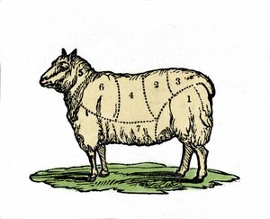 Ulike biter av saueslakter. Illustrasjon fra slutten av 1800-tallet. av Unknown artist