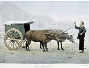 Vietnamesisk Hitch, "" Around the World", slutten av 1800-tallet. av Unknown artist