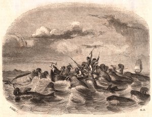 Utsikt over en gruppe engelske sjømenn som jager en flokk med hvalross i 1818 utenfor kysten av Spitsbergen av Unknown