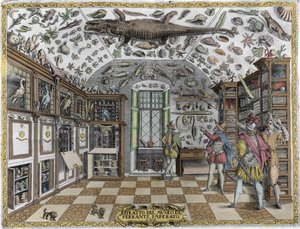 Utsikt over museet (kabinettet) av kuriositeter (leksikonmuseum) til farmasøyten Ferrante Imperato (1550 - 1631). Gravering fra 1678. Museum for den napolitanske apotekeren Ferrante Imperato. av Unknown artist
