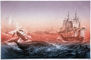 Hvalfangstfartøyet klarte ikke å redde sine hvalkantrede båter av Unknown artist