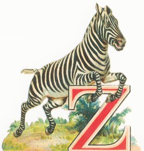 Fra: Zebra av Unknown artist