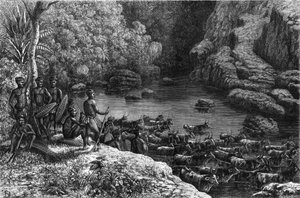 Zulouland in Africa: because the forest does not offer the necessary resources, the Zulu tribe is obliged to go down to the plains where they cultivate and raise cattle. Engraving in “” La Nature”” av Unknown artist