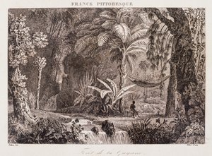 gravering som viser den franske kolonien Guyana i Sør-Amerika 1850 av Unknown artist