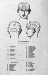 illustrasjon fra Charles Rouvins bok fra 1873 Organographie La Tête humaine, illustrerte studier av frenologi og fysionomi brukt på kjente karakterer Paris 1873 av Unknown artist