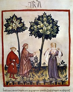 rabies eller sint person som klemmer vev mellom tennene. Belysning av det 14. århundre av "Tacuinum Sanitatis", Wien, Nasjonalbiblioteket. av Unknown artist