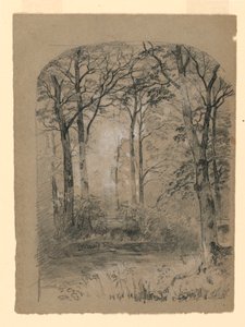Tegning, skogstudie, 1865–70 av Unknown artistUnknown artist