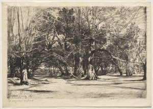 En by-road i Tipperary av Unknown artist