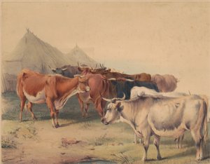 En flokk med storfe av Unknown artist