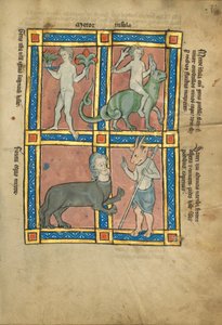 En mann uten kunnskap om ild; En mann som rir på en krokodille; En kentaur; Sanrus av Unknown artist