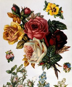En bukett roser. 1800-talls kromolitografi. av Unknown artist