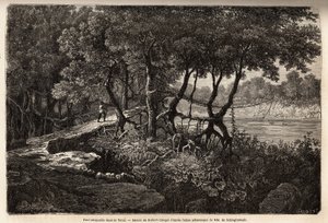 En hengebro i Terai ("Våtmark"), dette området med marecagode enger danner bunnen av Himalaya og grenser til Nepal sør for den indiske grensen. Gravering for å illustrere utforskningen av Øvre Asia fra 1854 til 1857, av Schlagintweits brødre, av Unknown artist