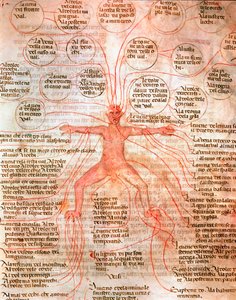 Anatomisk diagram som illustrerer blodsirkulasjonen Miniatyr fra manuskriptet "" De surgia""" Venezia Biblioteca Marciana fra 1200-tallet av Unknown artist