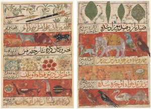 Dyr, edelstener, mynter og musikkinstrumenter (recto); Dyr, fugler og planter (verso) fra en Mu