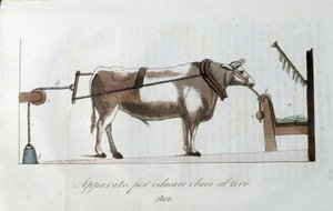 Apparat for å venne okser til snøret. Plate hentet fra "" Journal of agriculture, arts and techniques "" (Revue d