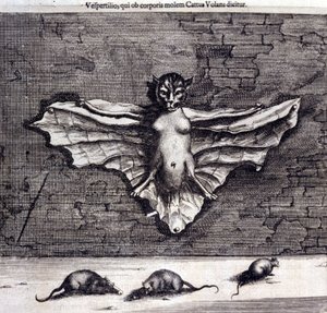 Flaggermus og rotter. "De China Monumenta" av Athanasius Kircher av Unknown artist