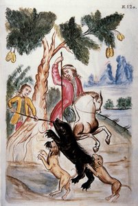 Bjørnejakt, fra boken "Trujillo of Peru" eller "Codex Martinez Companion", av Balthazar Martinez Companion og Bujanda, biskop av Trujillo (1782-1785) av Unknown artist