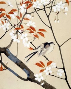 Fugl og kirsebærtre i blomst - japansk tegning av Riou Chim, sent på 1800-tallet av Unknown artist