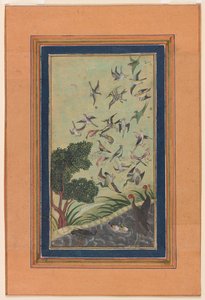 Fugler ved Baran, muligens fra Babur-nama av Unknown artist