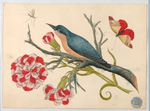 Blå fugl på gren med nelliker og insekter av Unknown artist