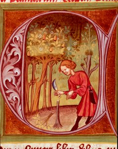 Botanisk: en gartner som praktiserer en transplantasjon. Miniatyr hentet fra "The Rustican or Book of Country and Rural Profit" (Rerum ruralium commodorum) av Pietro de Crescenzi (Crescent Stone eller Crescens Stone) (1233-1320) Praha fra 1300-ta av Unknown artist