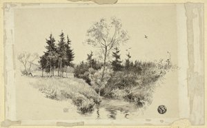 Bekk i skogen av Unknown artist