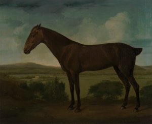 Brun hest i et kupert landskap av Unknown artist