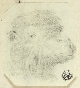 Kamelhode vendt mot høyre av Unknown artist