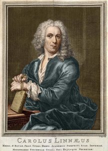Carl Von Linné Swedish naturalist and writer (1707 - 1778) av Unknown artist
