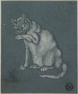 Katt slikker pote av Unknown artist