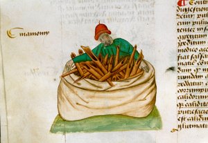 Kanel Selger Beskrivelse av medisinplanter og hvordan de tilberedes. Manuskriptside “” Godbiter på urter”” (Tractatus de herbis) av Pedanius Dioscorides (Dioscorides) (40-90 e.Kr.) Lat.1152 av Unknown artist