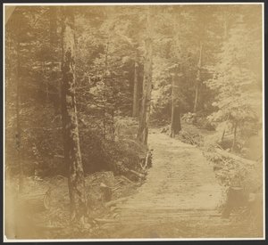 [Corduroy Road på vei til Harper#39;s Ferry.] av Unknown artist